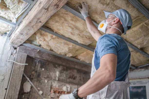Professional Insulation Contractor in Yellow Springs, OH